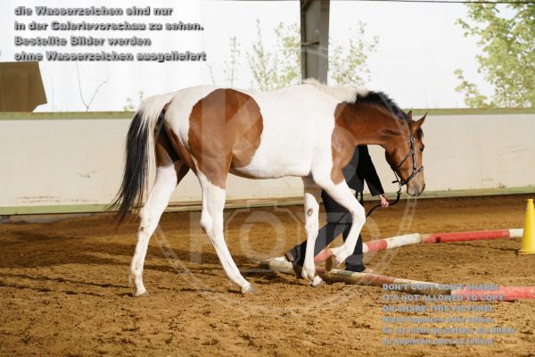 s_K3F06730.jpg
